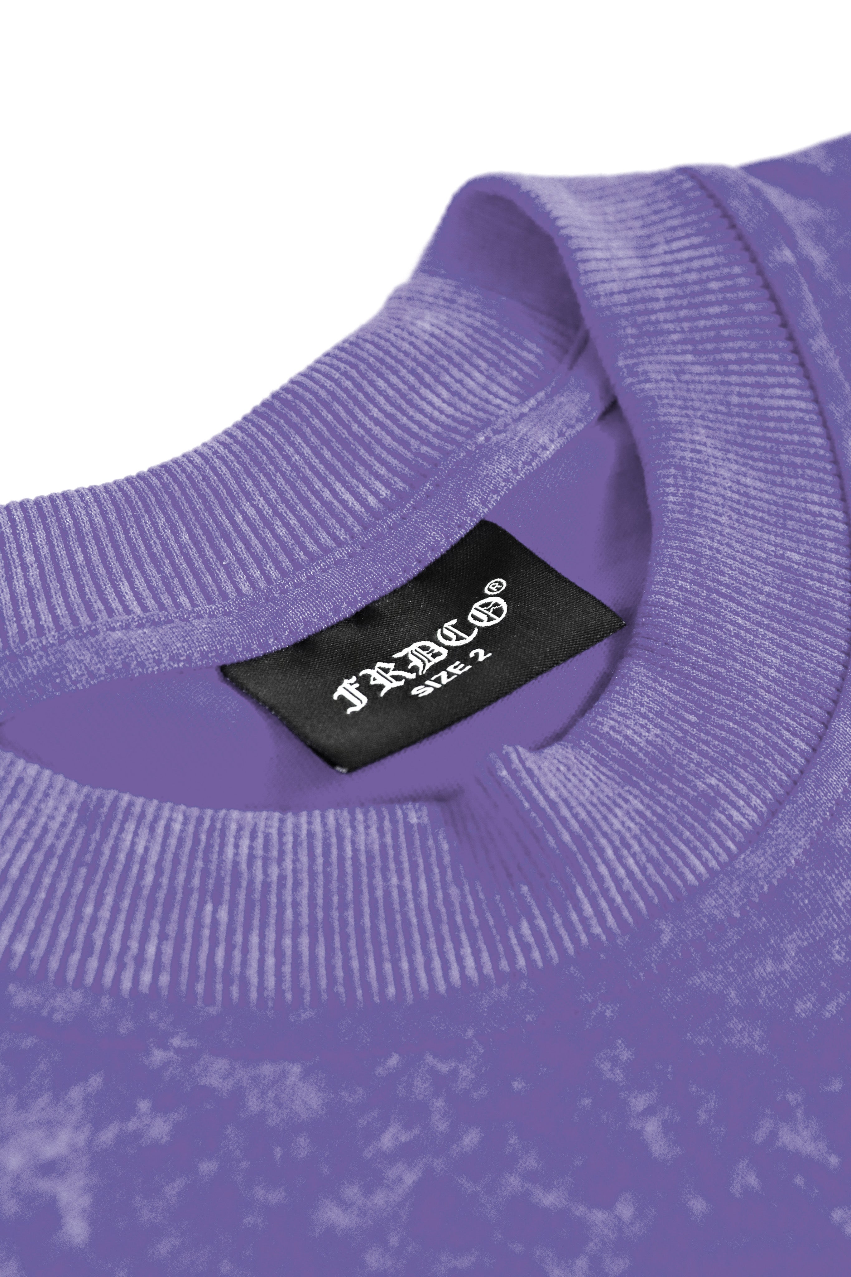 Stoned Snake Bone Washed Tee Purple