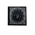 Void : Bandana