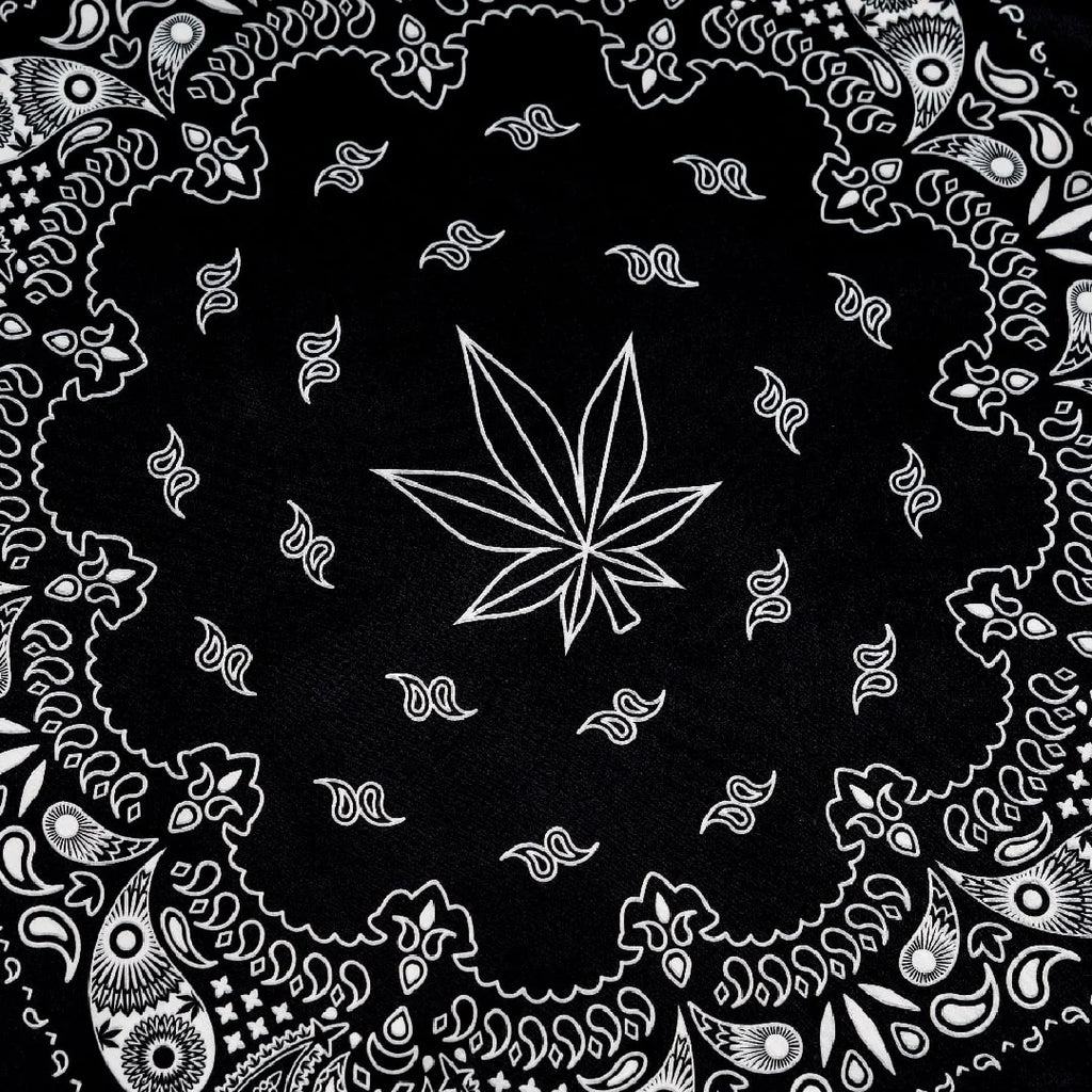 Void : Bandana