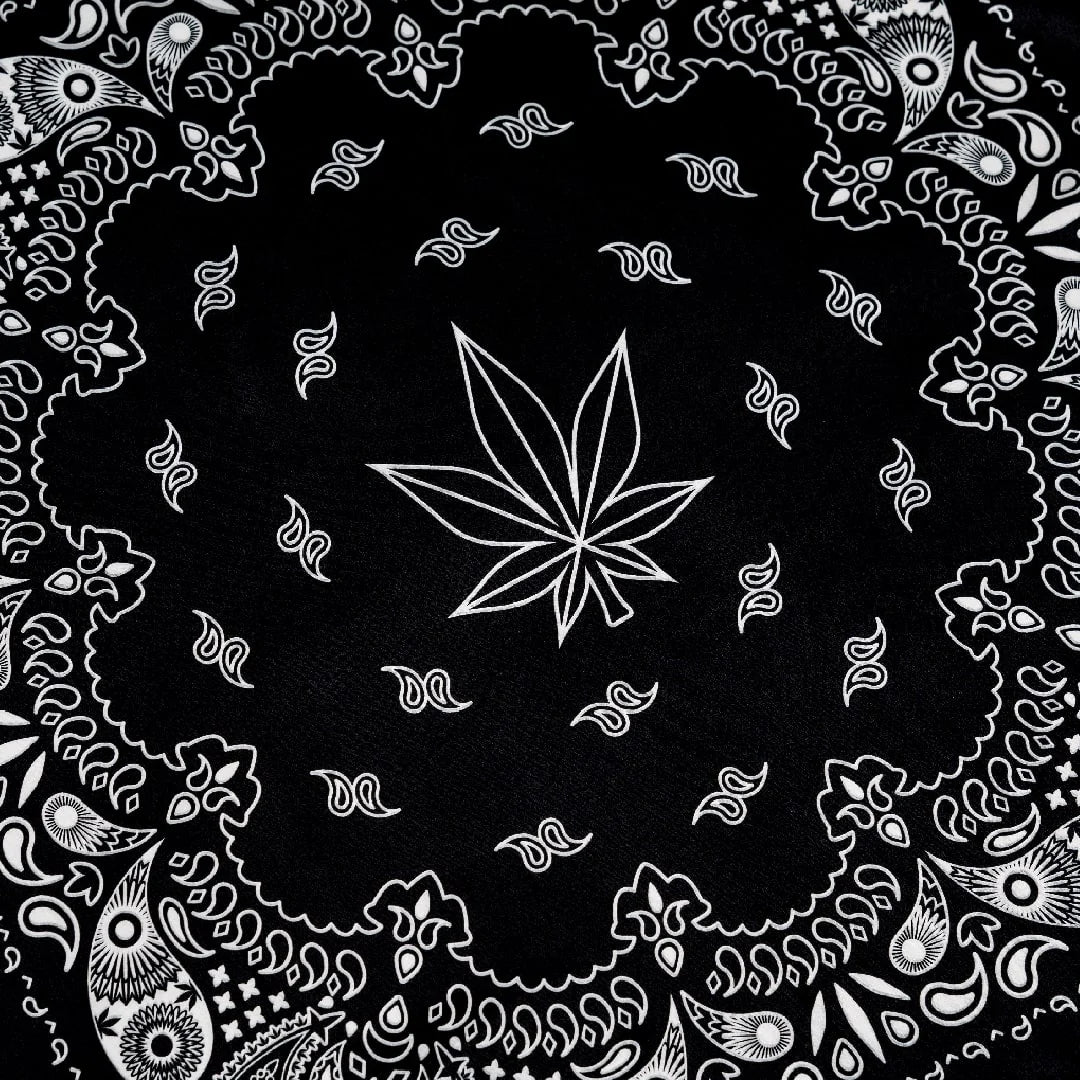 Void : Bandana