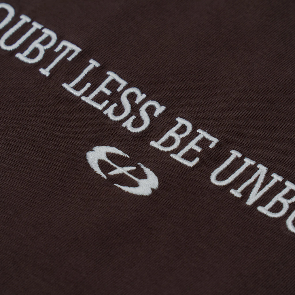 No Doubt Washed Tee Brown
