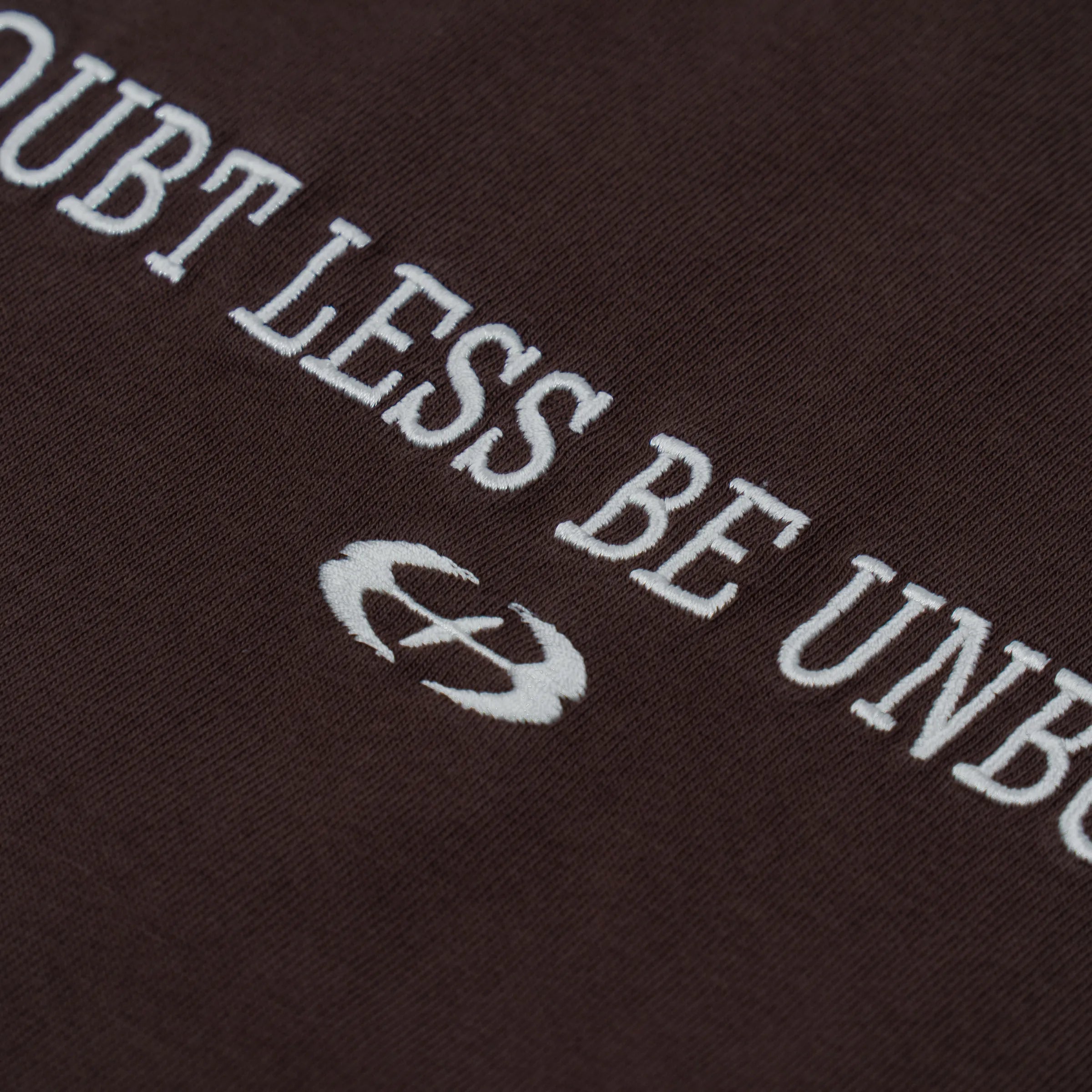 No Doubt Washed Tee Brown