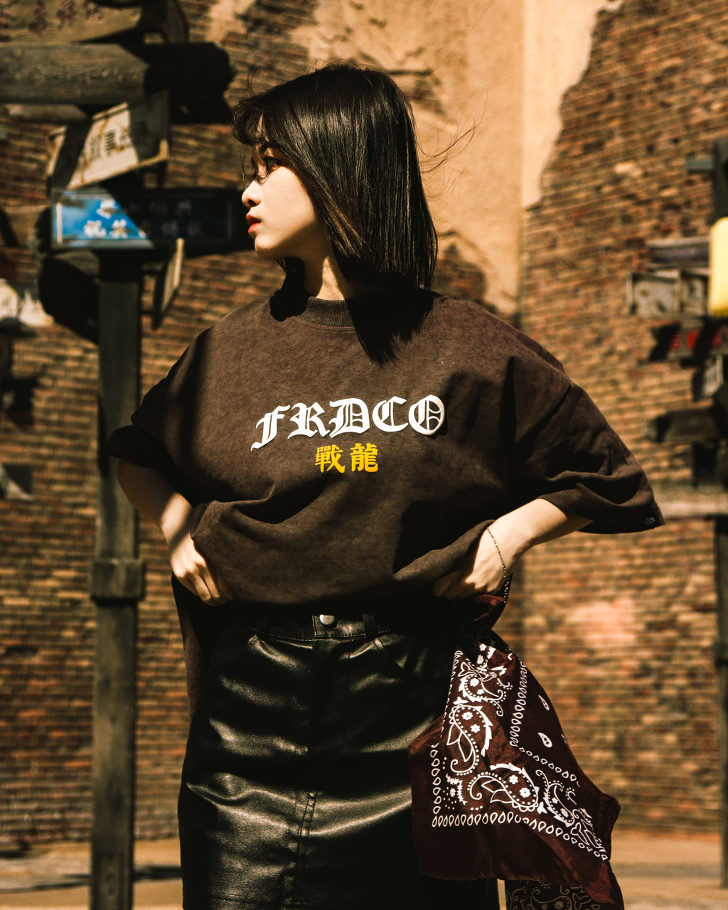 Battle Dragon Washed Tee Brown