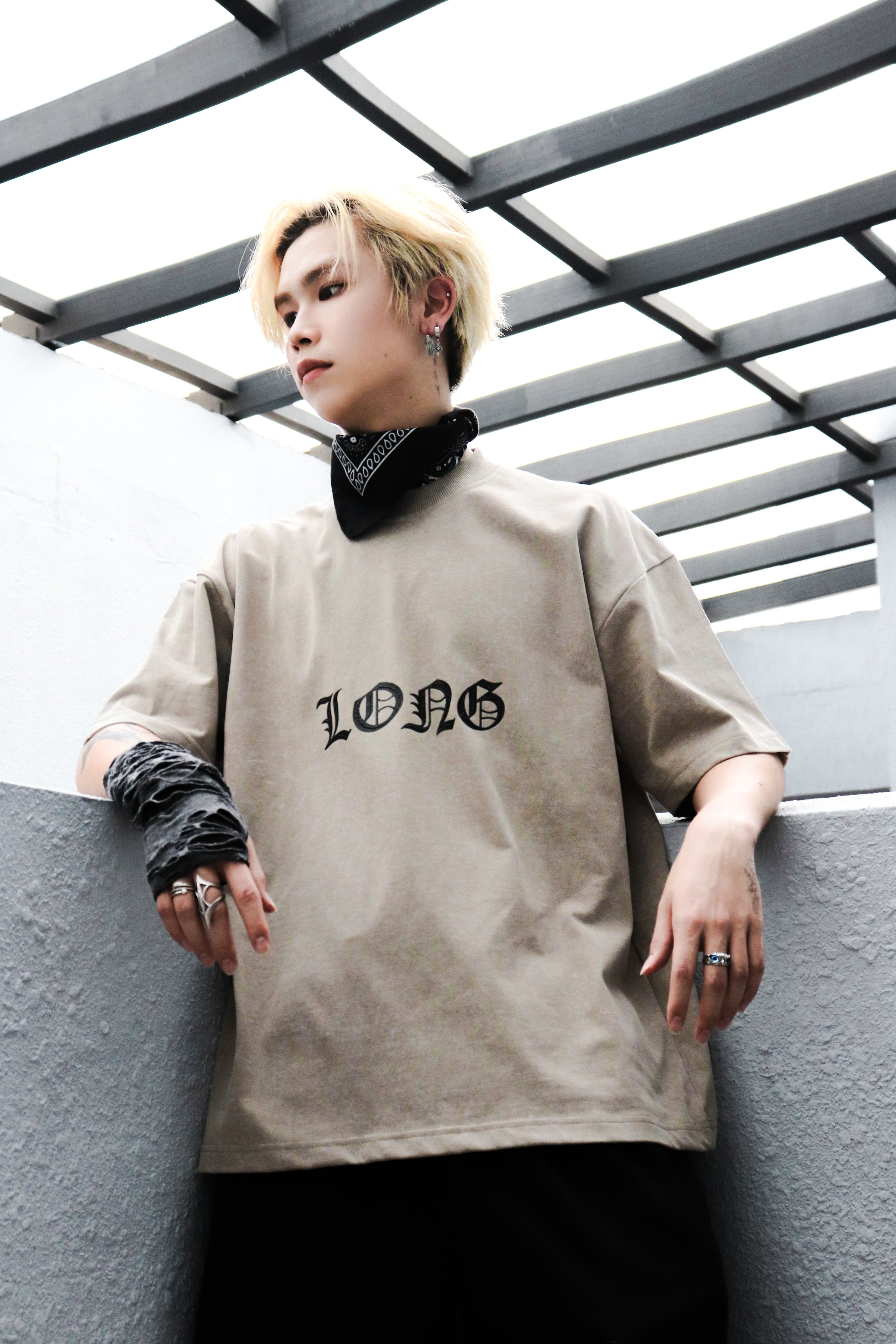Dark Dragon Stoned Wash Tee Khaki
