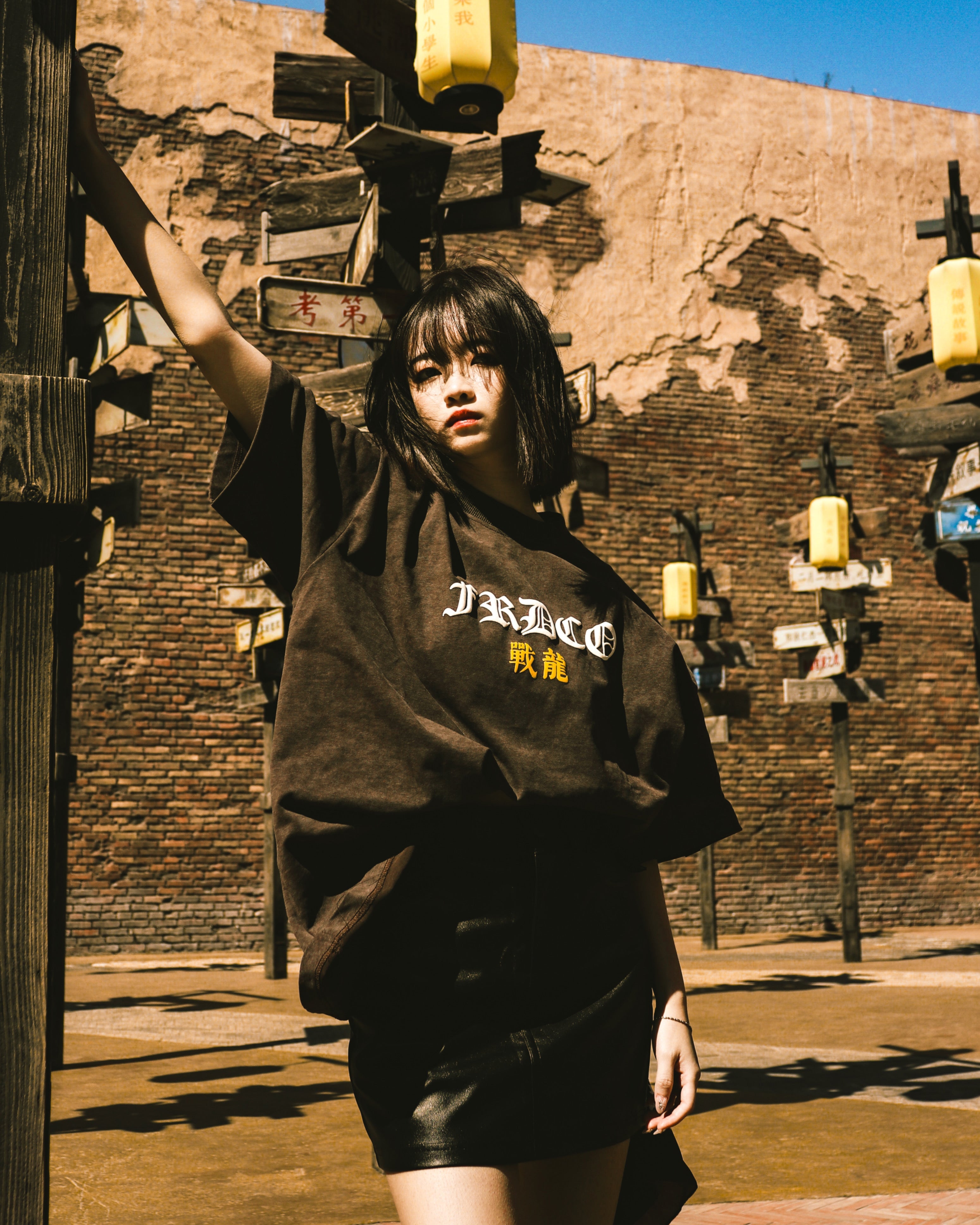 Battle Dragon Washed Tee Brown