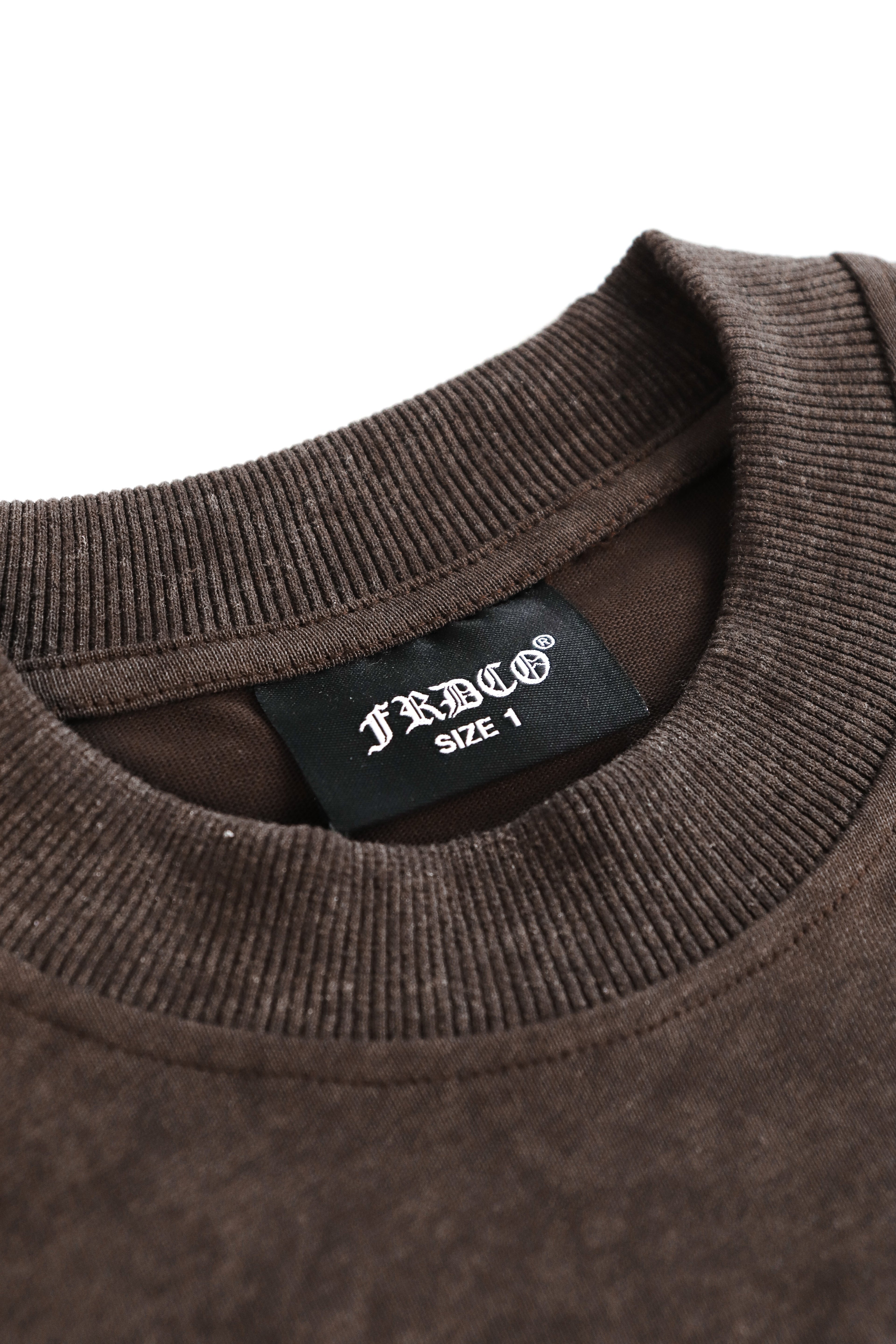Battle Dragon Washed Tee Brown