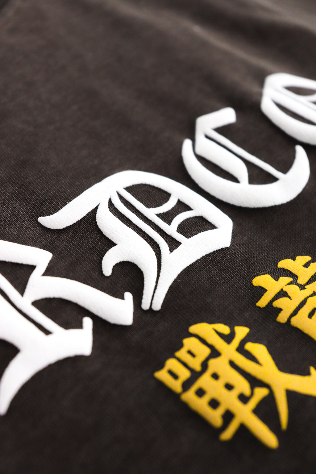 Battle Dragon Washed Tee Brown
