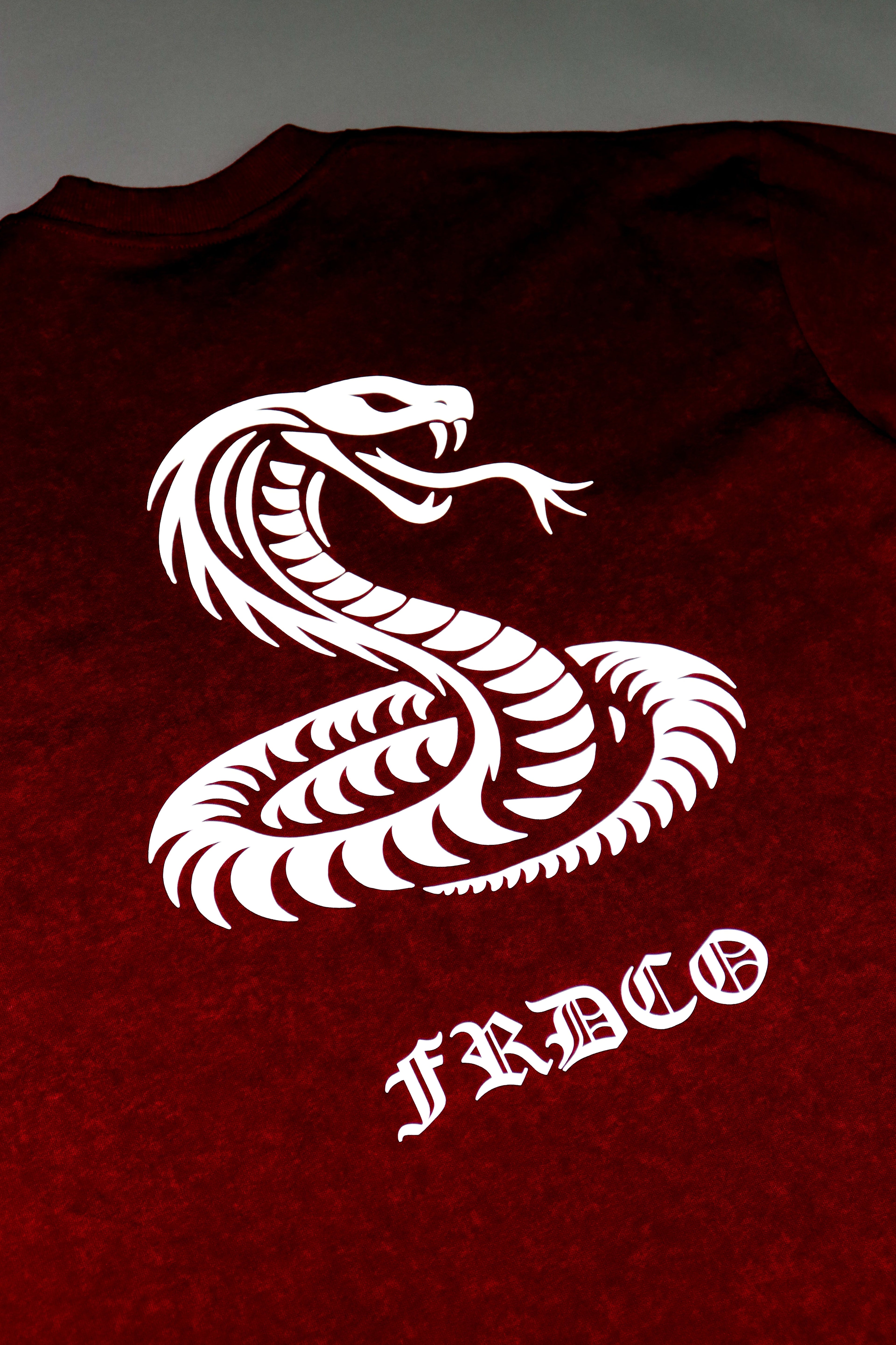 3M Reflective Snake Washed Tee Red